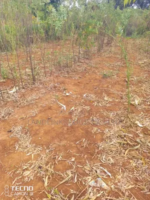 Mutumo Kitui Eka 30 za Kilimo