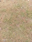 Hekta 27 Kitui Ikutha kwa Kilimo Zinauzwa - 1