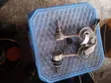 Ex-Japan Rear Rinks for Toyota Land Cruiser Prado - 2