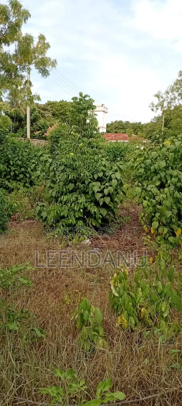 1/2 Acre Residential Plot for Sale in Diani - 1