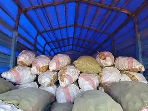 Bulk Potatoes for Sale - Oloitoktok Supplier