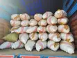 Bulk Potatoes for Sale - Oloitoktok Supplier - 2