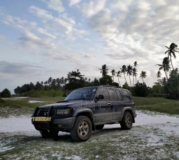 1998 Isuzu Trooper 3.1 Turbo Diesel - 1