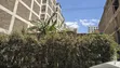 Nyumba ya Vyumba 4 vya Kulala Inauzwa South B - 2