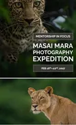 Masai Mara Safaris with Professional Guidance - 3