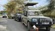 Masai Mara Safaris with Professional Guidance - 5