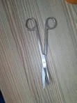 Curved Surgical Scissors - Brand New - 1