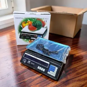 ACS 40 Digital Weighing Scale