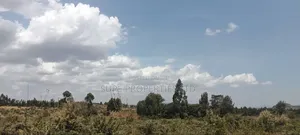 Kikuyu Kamangu Nachu 100x100 Prime Residential Plot
