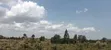 Kikuyu Kamangu Nachu 100x100 Prime Residential Plot - 2