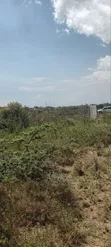 Kikuyu Kamangu Nachu 100x100 Prime Residential Plot - 5
