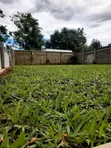 Josphat's Landscaping & Gardening Services - 1