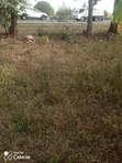 Kitalu cha 100x100 Kinauzwa Karibu na Naivas, Rongai - 3