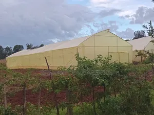 Greenhouse Installation Services