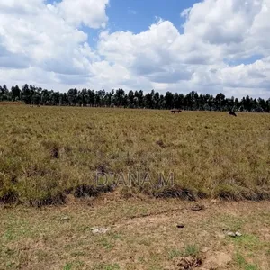 Eka 10 za Ardhi ya Kilimo kwa Mauzo Nyandarua Ol Jororok