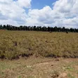 Eka 10 za Ardhi ya Kilimo kwa Mauzo Nyandarua Ol Jororok - 1