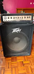 Peavey 118 Subwoofer Speaker - 1