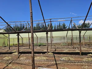 Greenhouse Installation Services