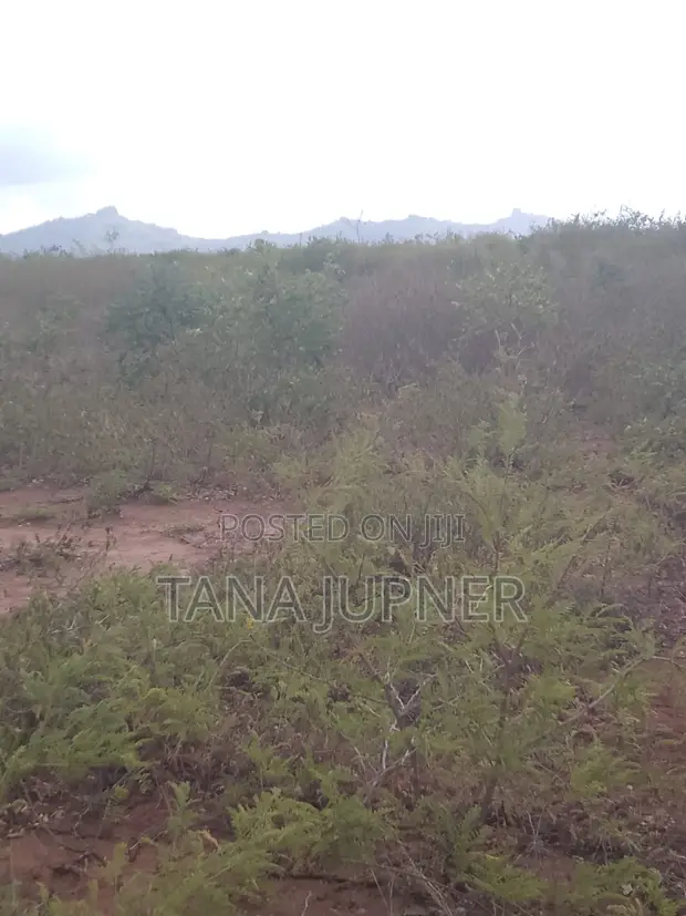 1/8 Acre Plots for Sale in Mavoloni - 1