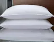 Printed Hollow Microfiber Bed Pillows - 1