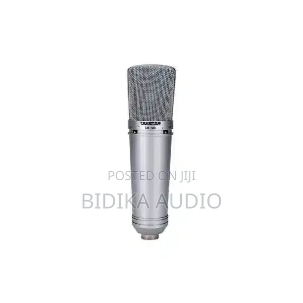 Takstar SM-10B Condenser Microphone - 1