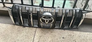 Toyota Landcruiser Prado J150 2010 Grill