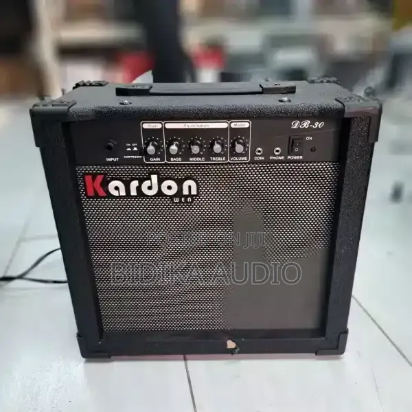 Kardon DB30 Mini Guitar Combo Amplifier - 1