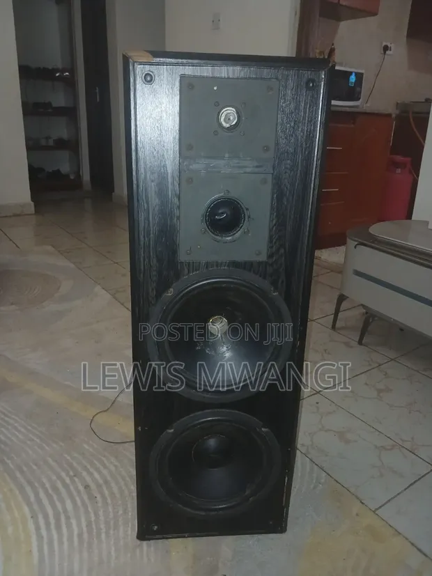 Audiomax SPK10D43LBL9 Bass Woofer - 1