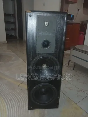 Audiomax SPK10D43LBL9 Bass Woofer