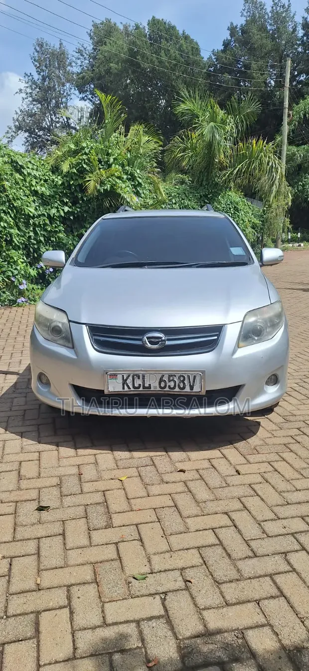 Toyota Corolla Fielder 2010 Silver - 1