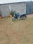 TVS HLX Plus ES 2025 Gold - 5