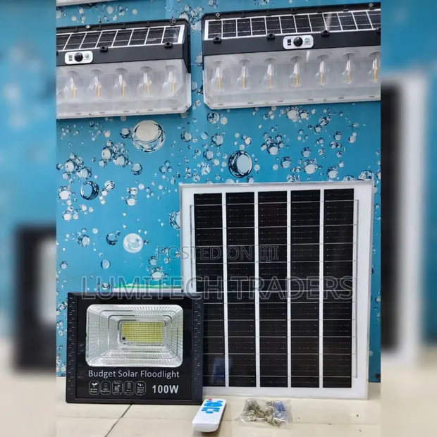 100W Budget Solar Floodlight - 1