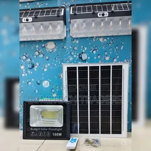100W Budget Solar Floodlight