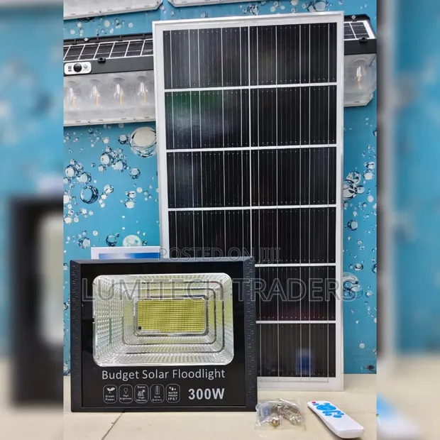 300W Budget Solar Floodlight - 1