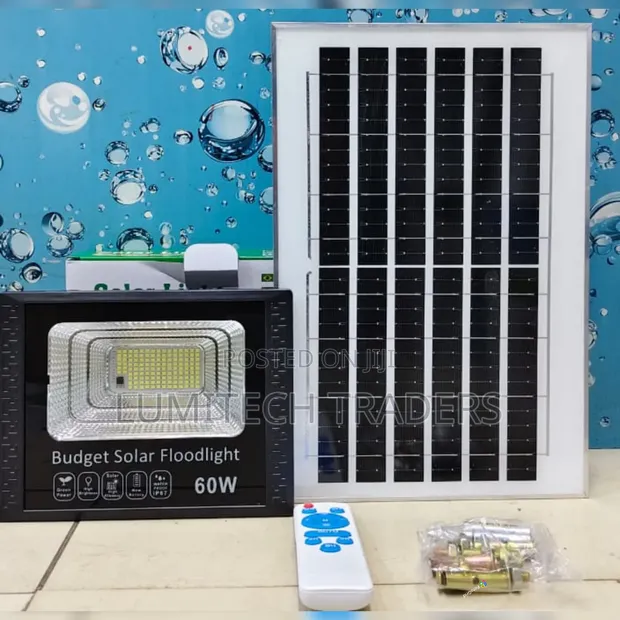 60W Budget Solar Floodlight - 1