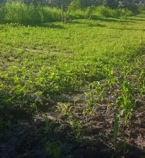 Prime Plot for Sale in Thome-Marurui - Ksh. 6.5M