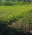 Prime Plot for Sale in Thome-Marurui - Ksh. 6.5M - 1