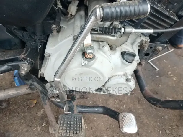 Bajaj Boxer 150 UG 2021 - White - 1