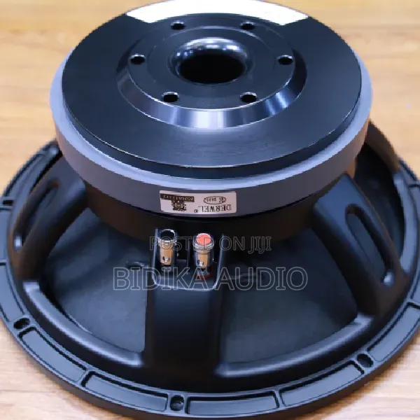 Derwel 12DL202 Loudspeaker ya Inch 12 ya Professional - 1