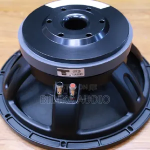 Derwel 12DL202 Loudspeaker ya Inch 12 ya Professional