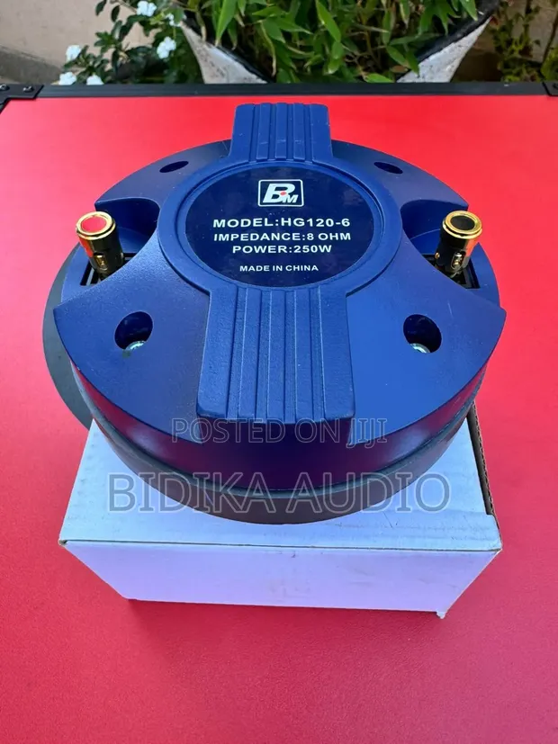 BM HG 120-6 Naked Speaker - 1