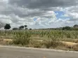 1.5 Acres Land for Sale, Marafa - Tarmac Access - 1