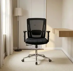 Mid Back Orthopedic Mesh Office Chair - Black