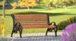 Elegant Garden Wooden Bench for Relaxing - 4