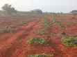 Prime 95 Acre Farmland Near Kambu, Makueni County - 2
