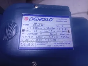 Pedrollo Booster Water Pump Machine