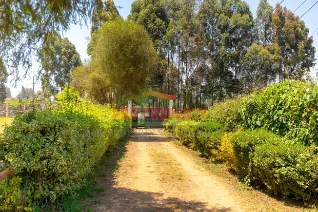 Commercial Plot for Sale in Kikuyu, Acre Tano - 1