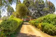 Commercial Plot for Sale in Kikuyu, Acre Tano - 1