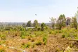 Prime Residential Plots for Sale in Kikuyu, Chungamali - 1