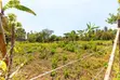 Prime Residential Plots for Sale in Kikuyu, Chungamali - 3